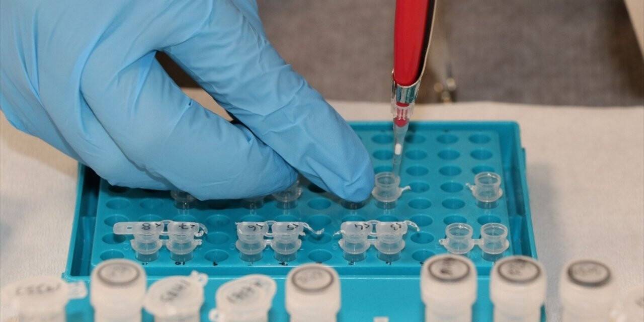 ABD'de yürütülen çalışma kan testiyle kanserin daha erken teşhis edilebileceğini gösterdi