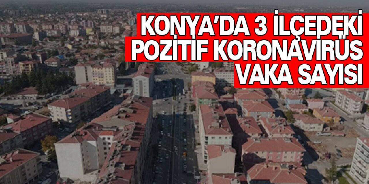 Konya'da 3 ilçede koronavirüs pozitif toplam vaka sayısı 12 oldu