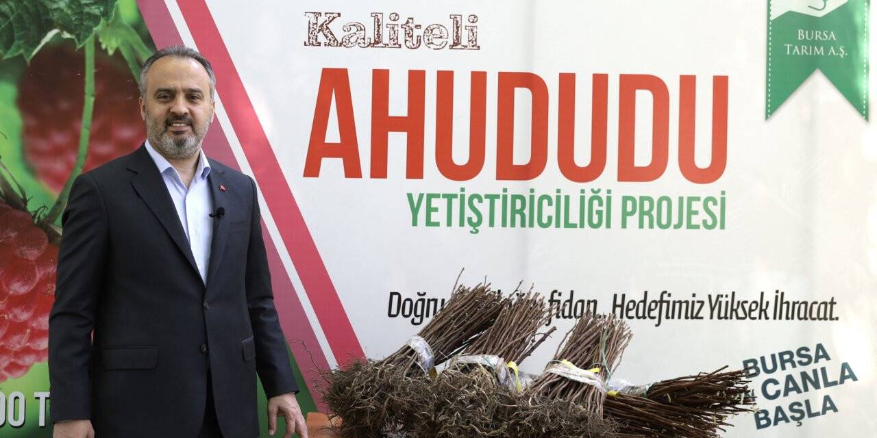 Türkiye'nin ahududu üretim merkezinde çiftçilere 125 bin fidan dağıtıldı