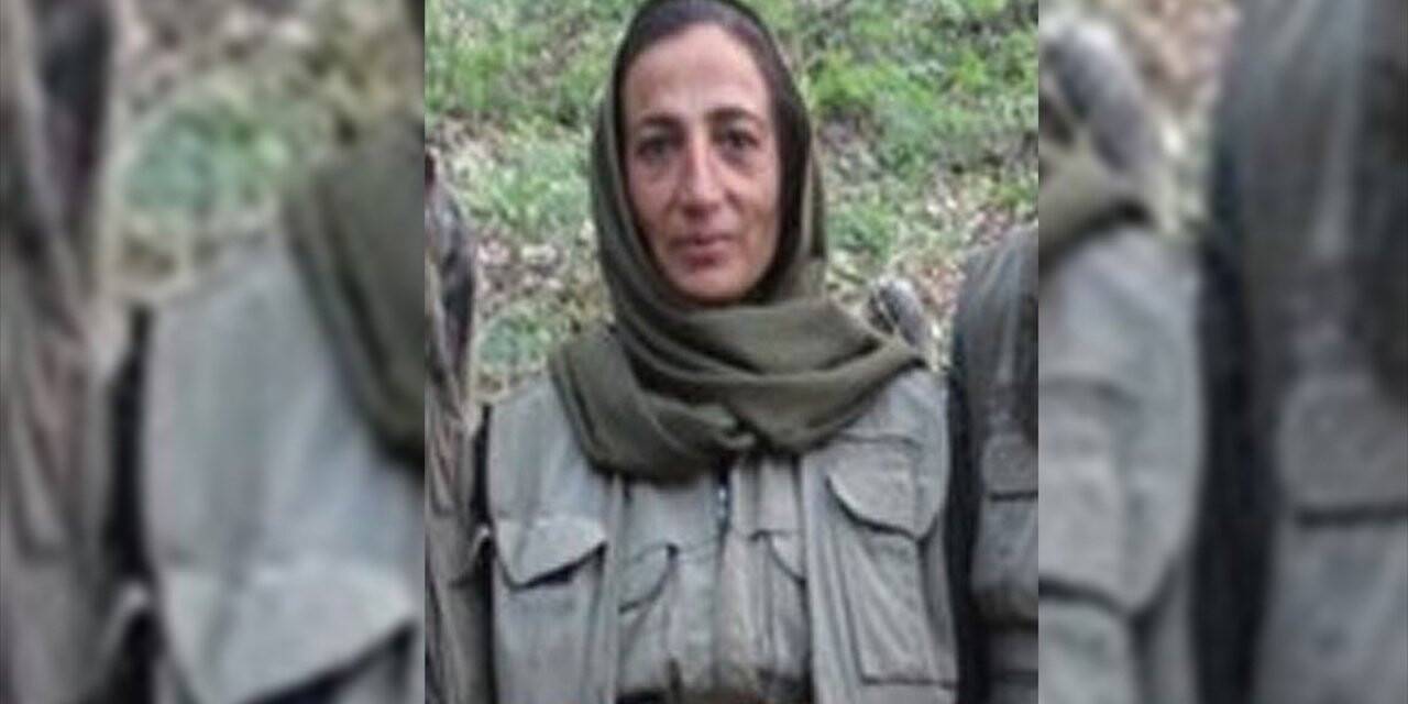 PKK kırmızı kategoride aranan teröristi ölüme terk etmiş