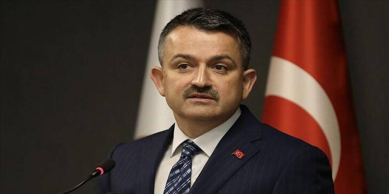 Bakan Pakdemirli'den rekolte açıklaması