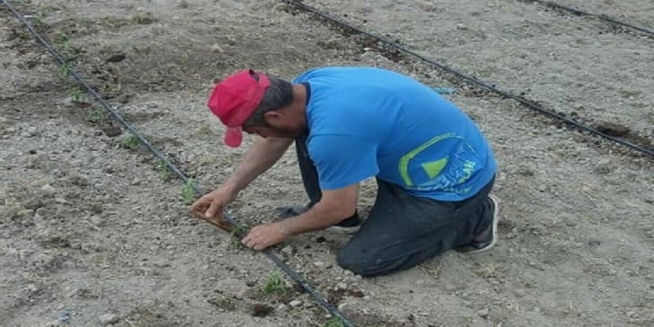Karapınar'da Çiftçiler Çalışmaya Devam Ediyor