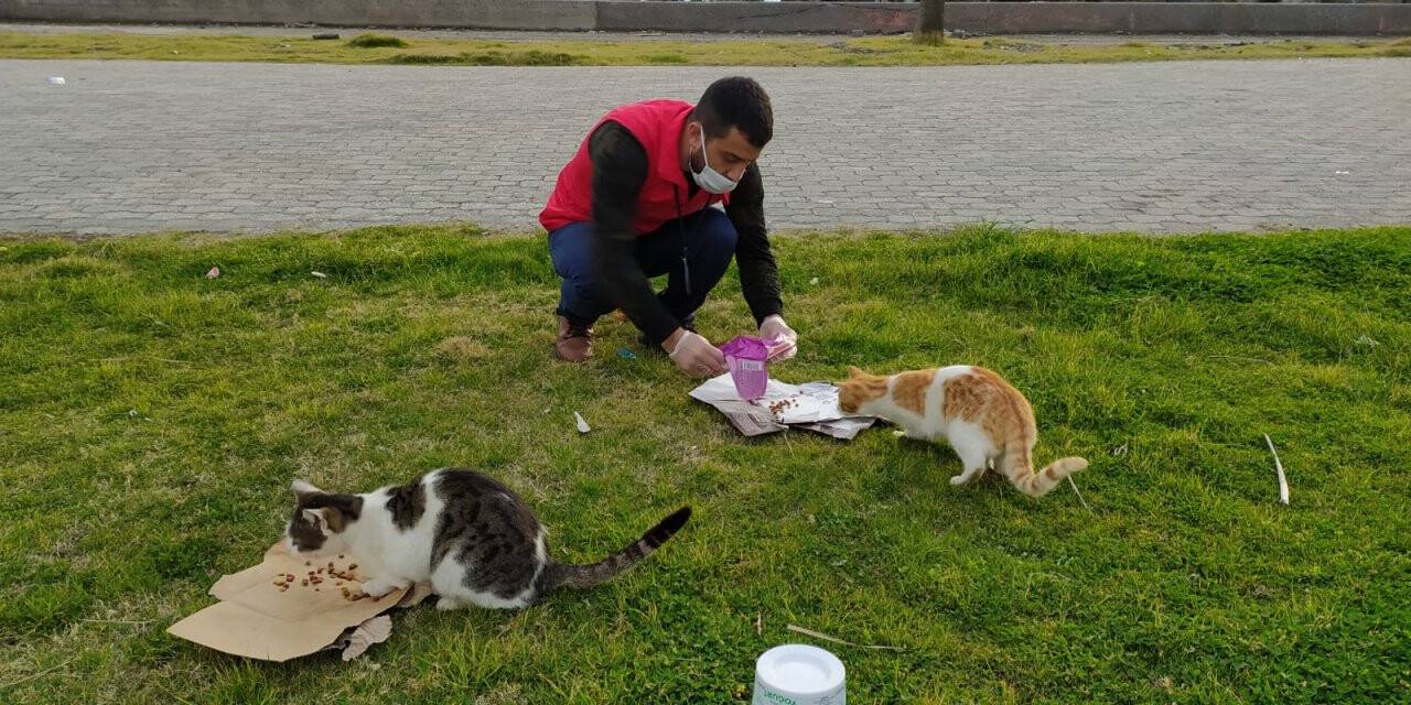 Gençlik Merkezleri sokak hayvanlarını unutmadı