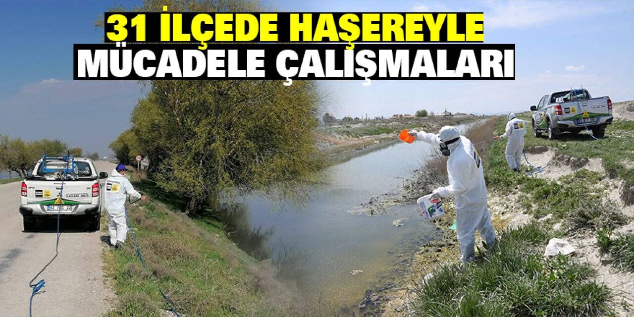 Konya Büyükşehir 31 İlçede Haşereyle Mücadele Çalışması Yapıyor