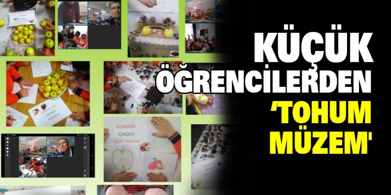 Küçük Öğrencilerden  ‘Tohum Müzem'