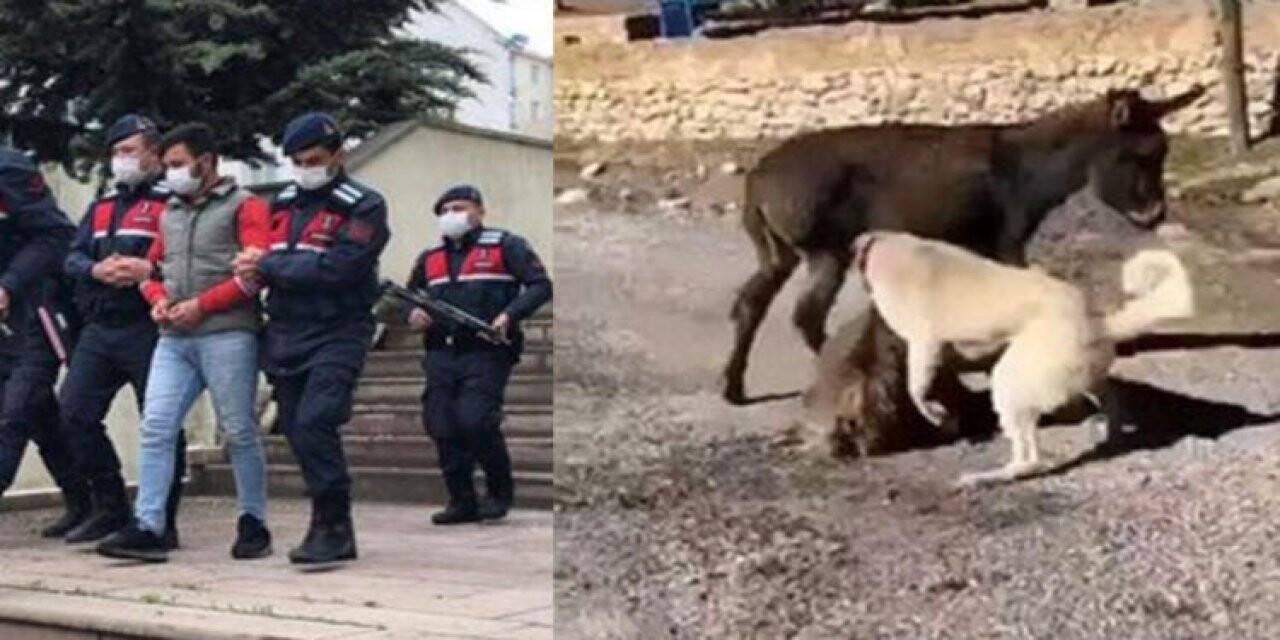 Sosyal medyayı sallayan o görüntüler için açıklama geldi