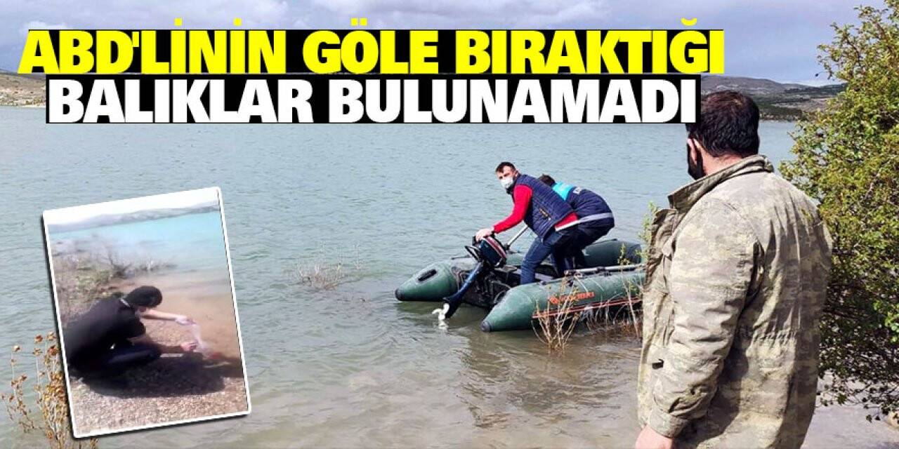 ABD'linin Göle Bıraktığı Balıklar Bulunamadı