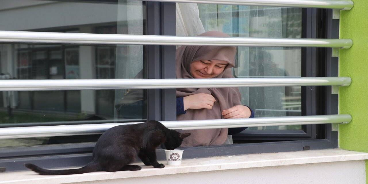 Denizli'de yurttaki karantina süreci tamamlananlar memleketlerine uğurlandı