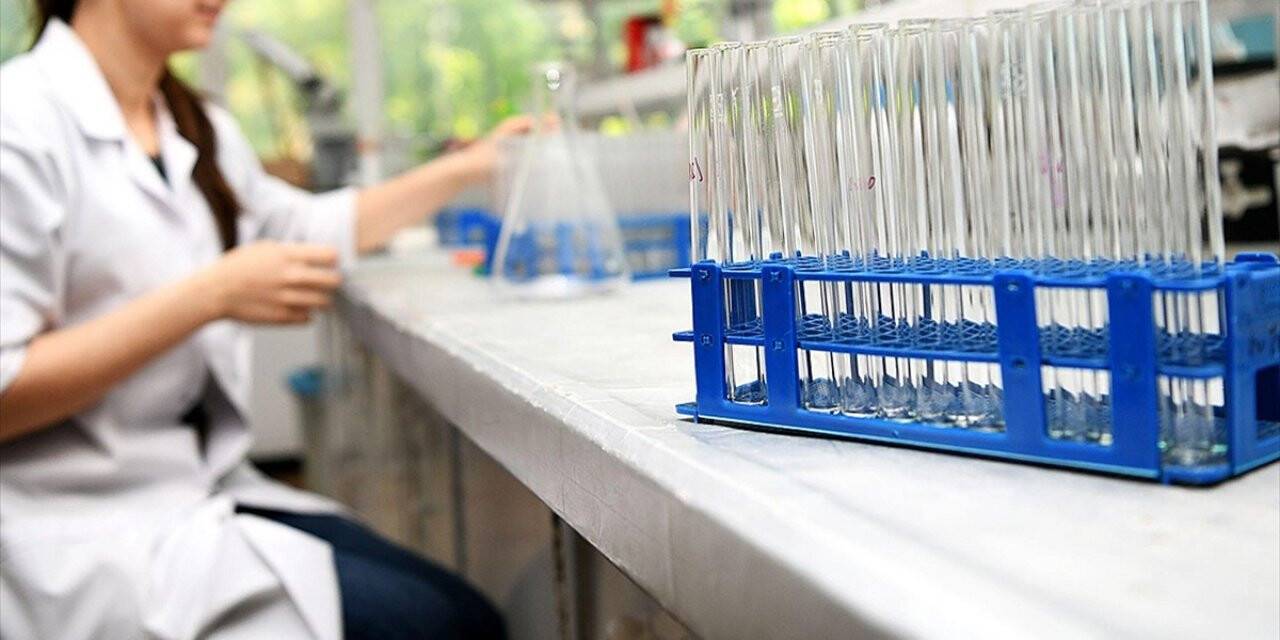 YÖK bursiyeri 800 doktoralı Kovid-19 aşı ve ilaç çalışmaları için hazır
