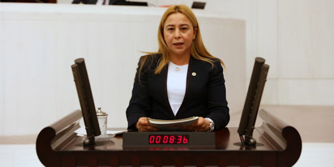 Milletvekili Esin Kara, yerel medyaya destek istedi