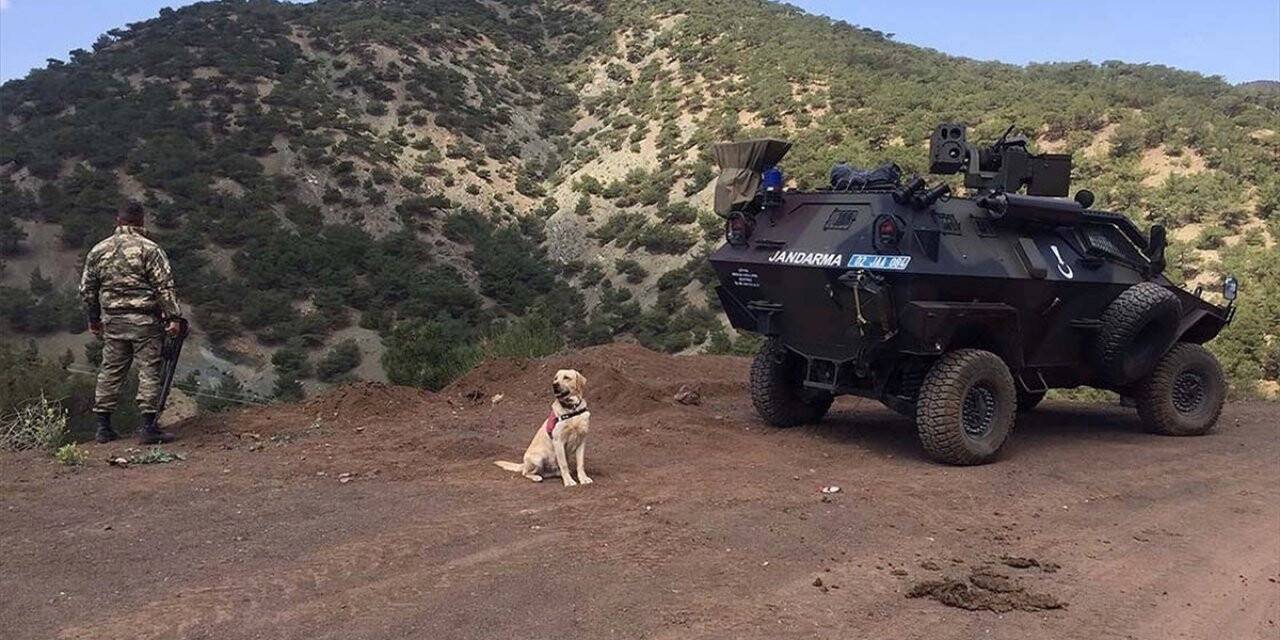 Adıyaman kırsalında 3 terörist etkisiz hale getirildi