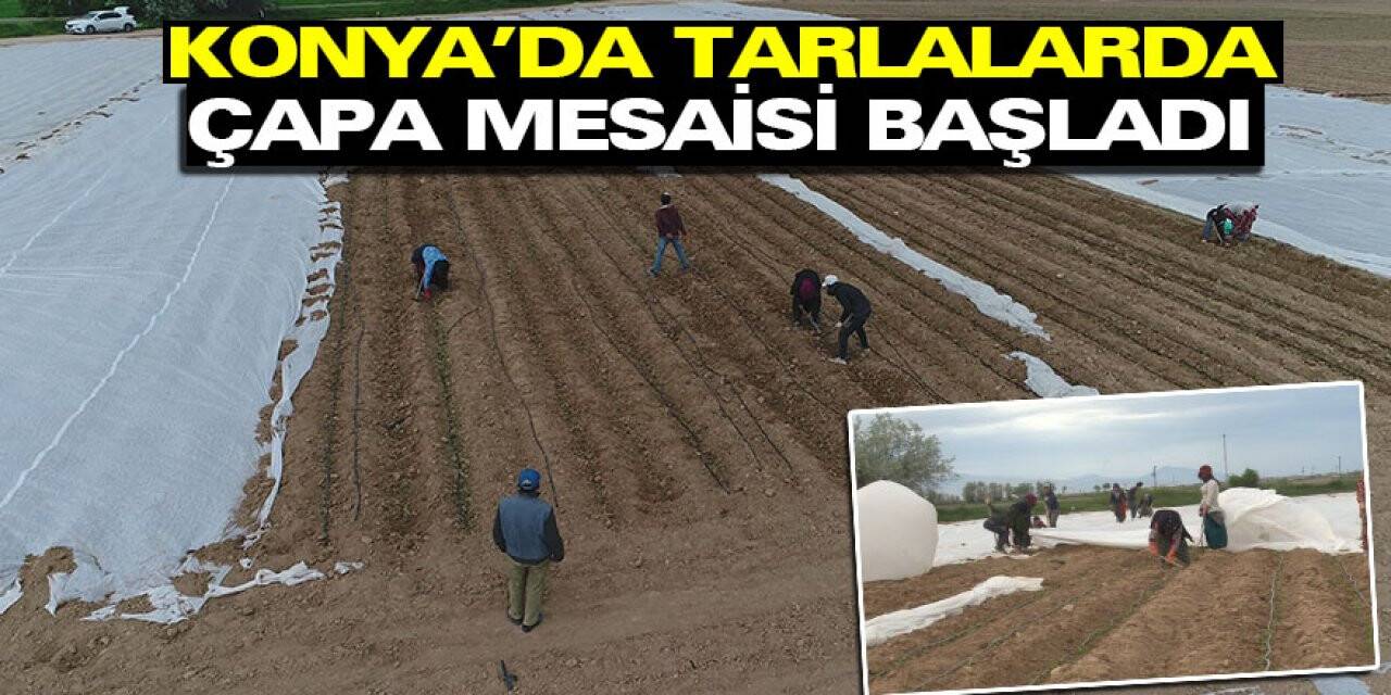 Konya’da Tarlalarda Çapa Mesaisi Başladı