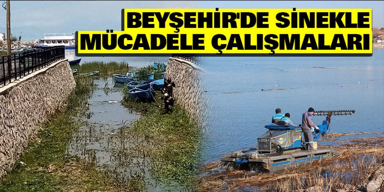 Beyşehir'de sinekle mücadele çalışmaları