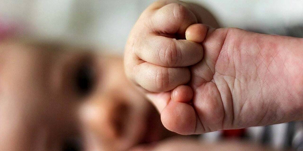 Sağlık Bakanlığından uzaktan gebe eğitimi