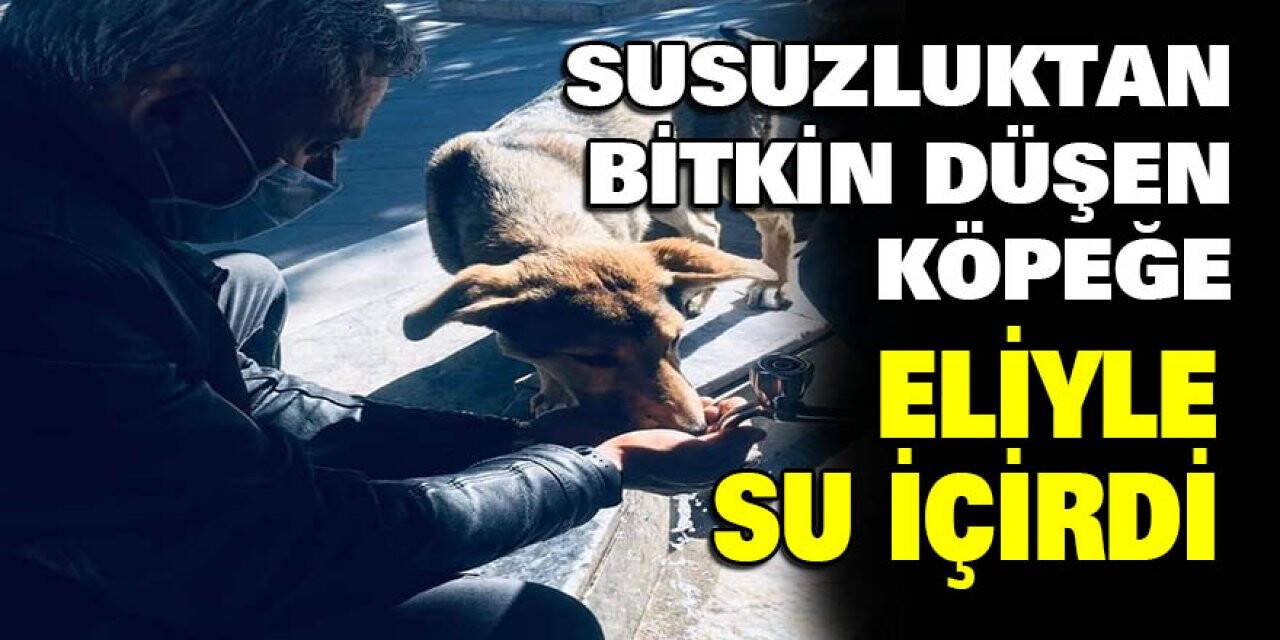 Konya'daki Belediye Çalışanından Duyarlı Davranış
