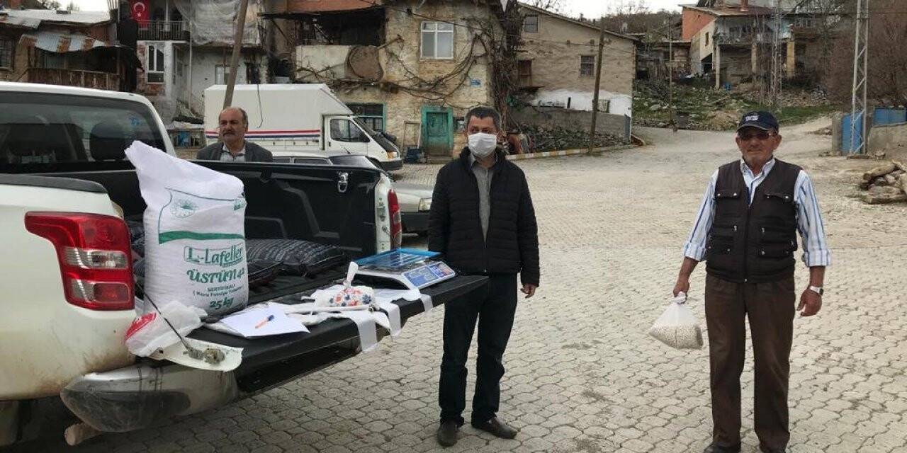 Hadim'de yüzde 75 hibe destekli tohum dağıtıldı