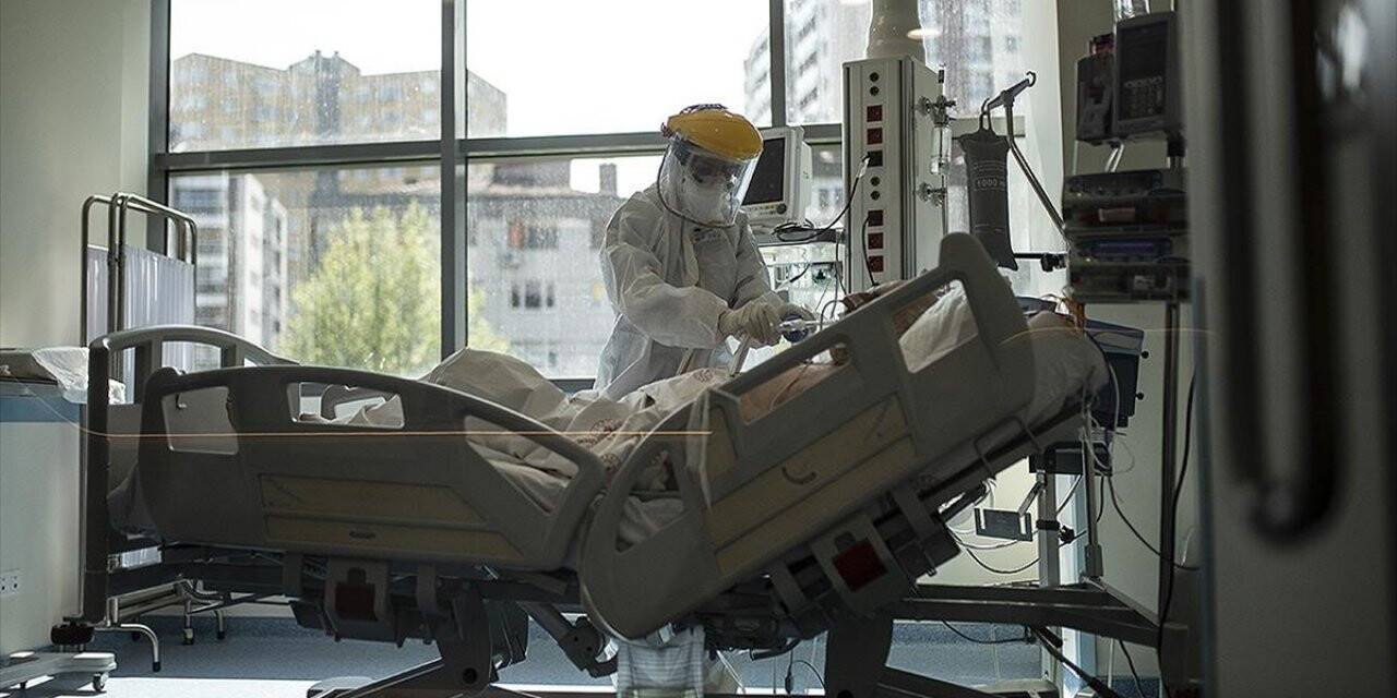 Dünya genelinde Kovid-19'dan iyileşenlerin sayısı 1,5 milyonu geçti