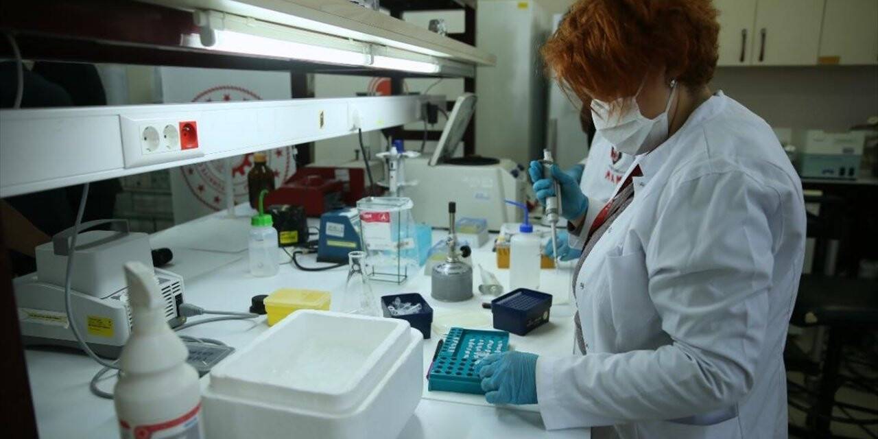Türkiye'nin koronavirüsle mücadelesinde son 24 saatte yaşananlar