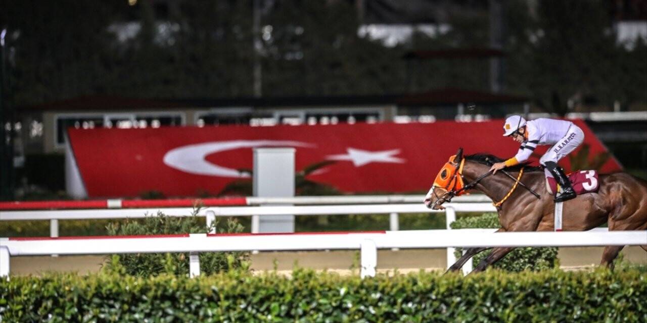 Atçılık camiasından yarışların başlatılması talebi