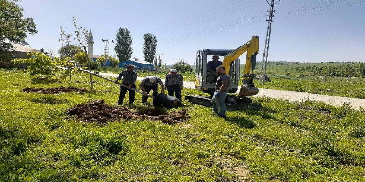 Yalıhüyük Belediyesi fidan dikim çalışmalarını sürdürüyor