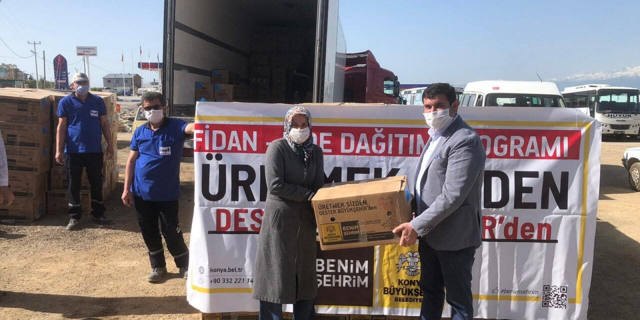Çilek üretim merkezi Hüyük’e fide desteği