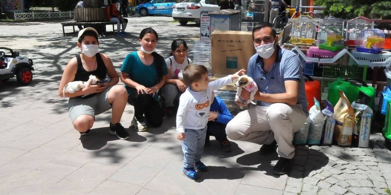 Akşehir Çocuk Cıvıltılarıyla Doldu
