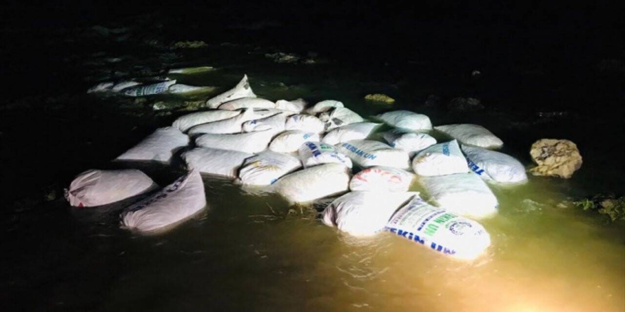 Van'da kaçak avlanılan 2 ton inci kefali ele geçirildi