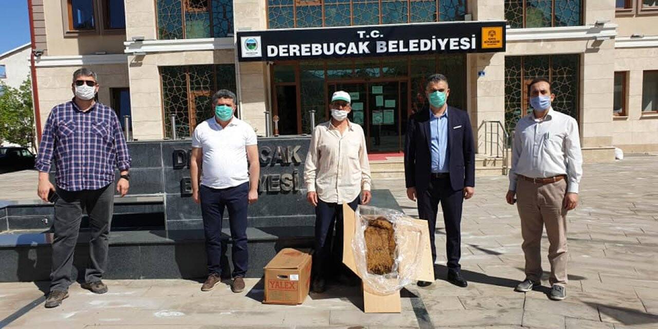 Konya Büyükşehir Belediyesi'nden  çilek fidesi desteği