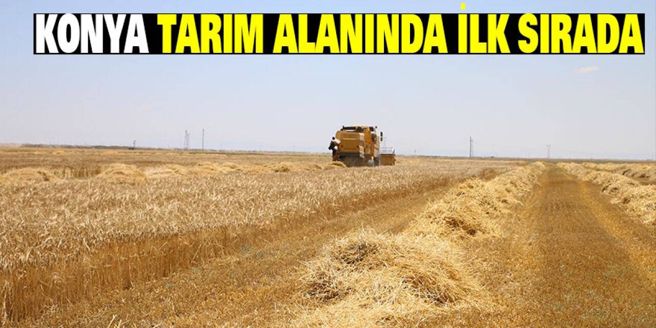 Konya tarım alanında ilk sırada