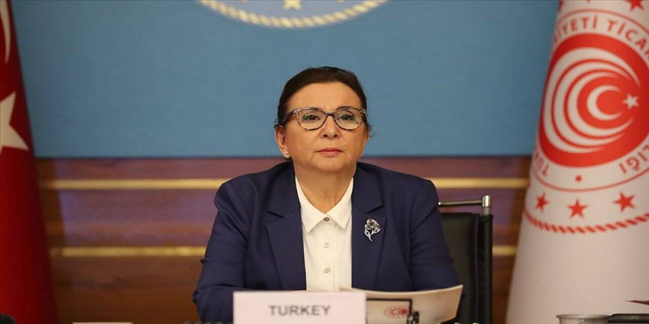 G20 2. Olağanüstü Ticaret ve Yatırım Bakanları Toplantısı