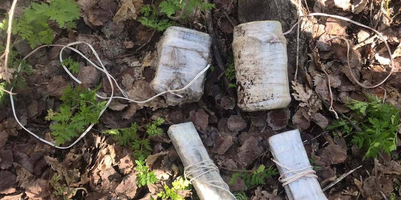 Bitlis'te PKK'lı teröristlere ait patlayıcı ve mühimmatlar imha edildi