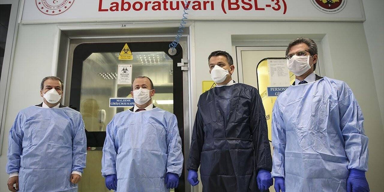 Kovid-19 anti-serumu için virüsün hayvanlara verilmesine haftaya başlanacak