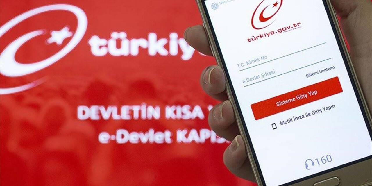Sekiz dilde sabıka kaydı 'bir tık' uzakta