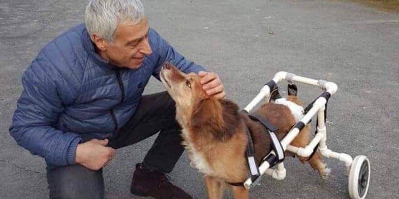 Ürettiği yürüteçler ile felçli hayvanları 'ayağa kaldırdı'