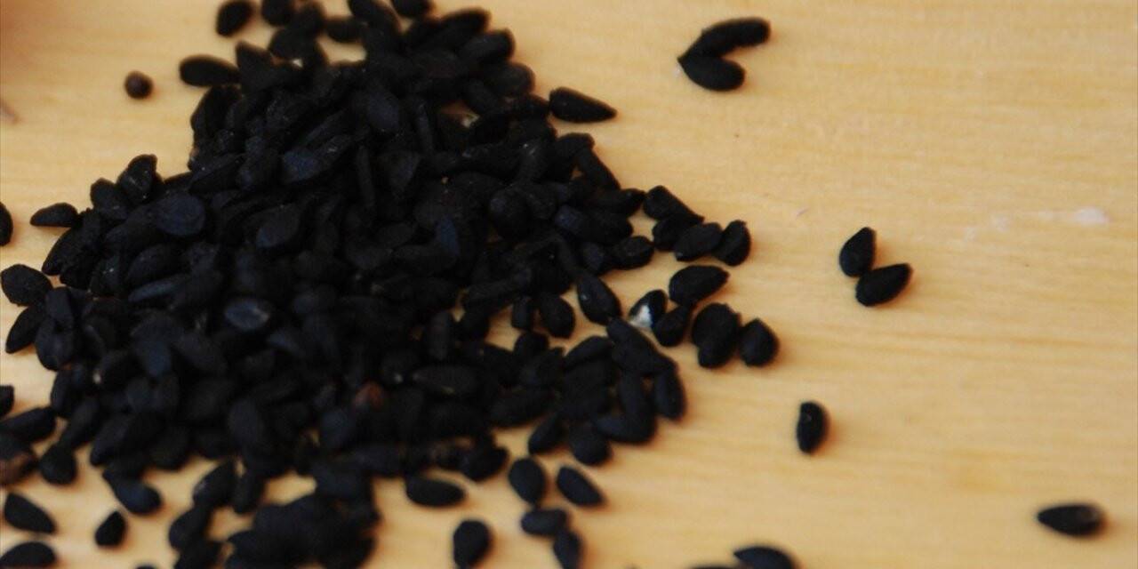 Oruç tutanlar bağışıklık sistemini propolis ve çörek otuyla güçlendirebilir