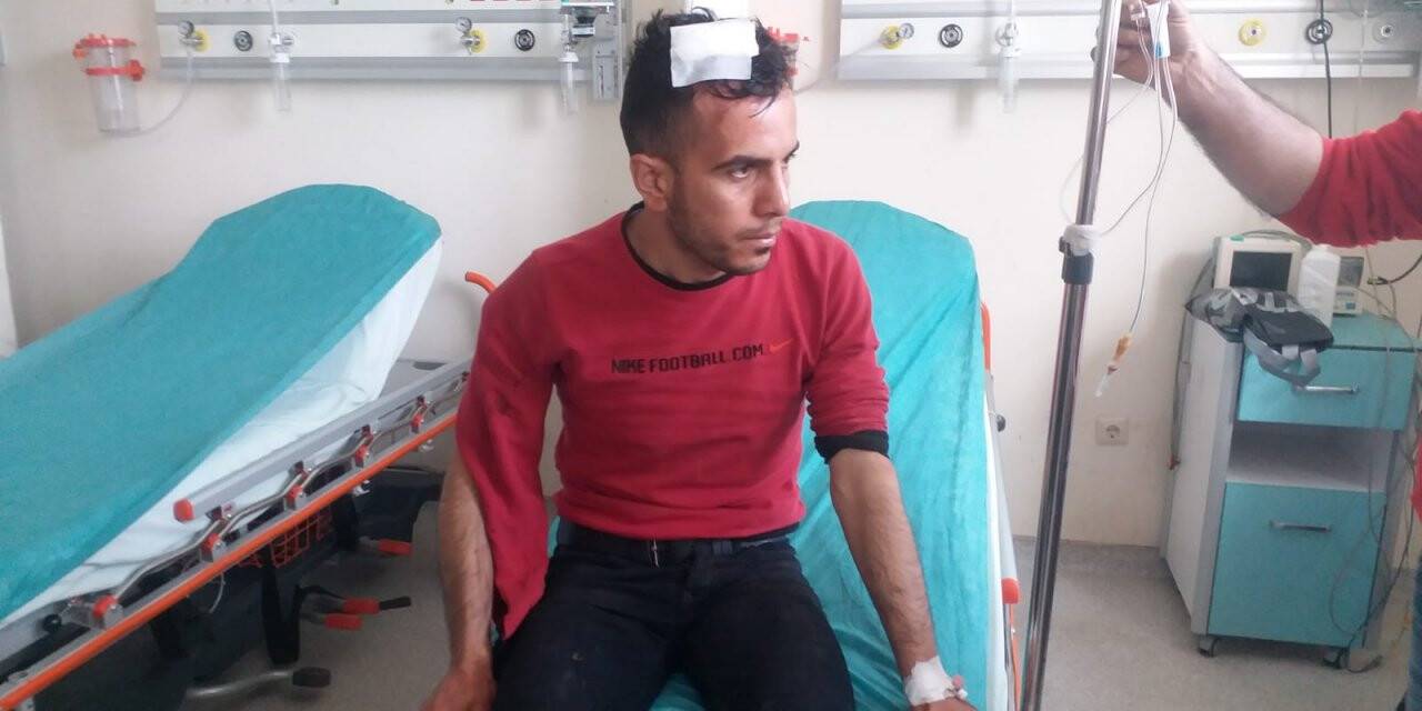 Kars'ta ayının saldırısına uğrayan genç yaralandı