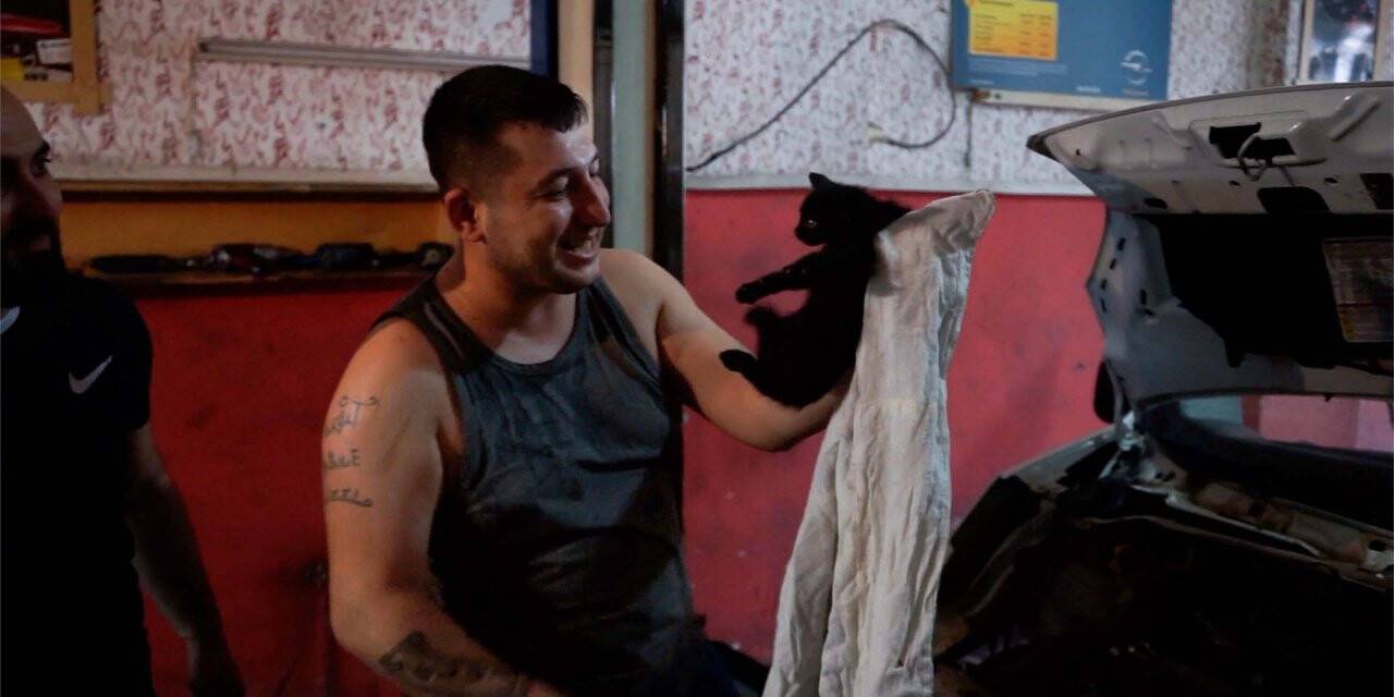 Aracı didik didik edip 8 saatte kediyi sıkıştığı yerden kurtardılar