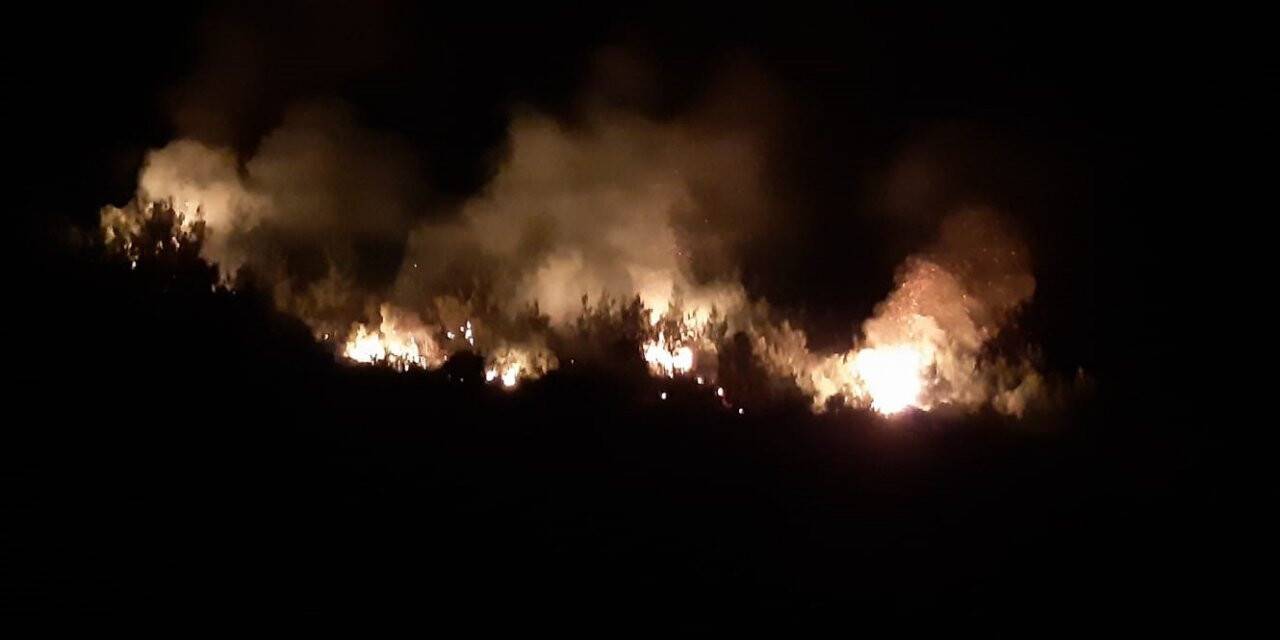 Adana’da orman yangını