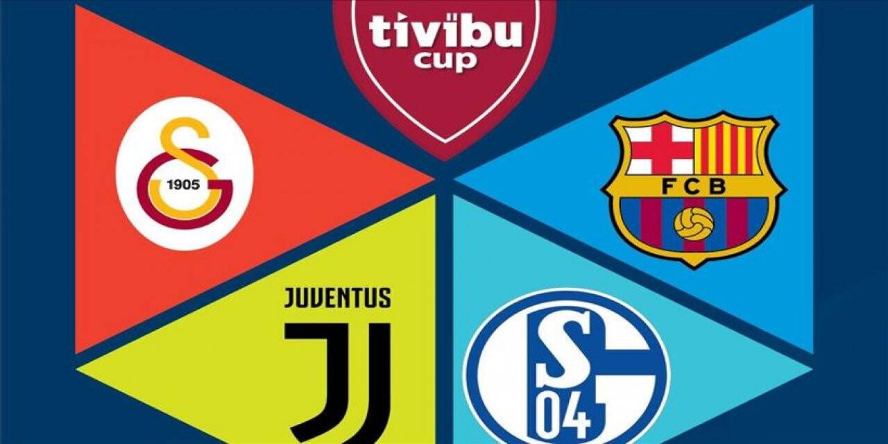 Tivibucup’ın şampiyonu Schalke04