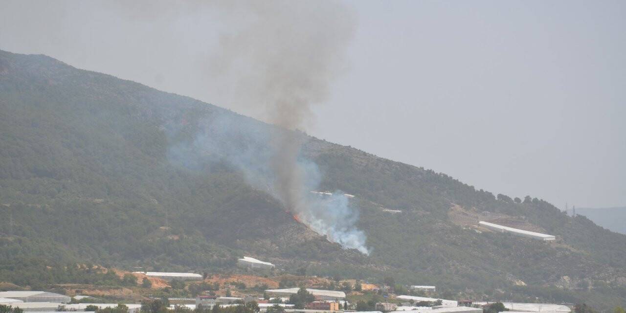 Mersin'de makilik alanda yangın