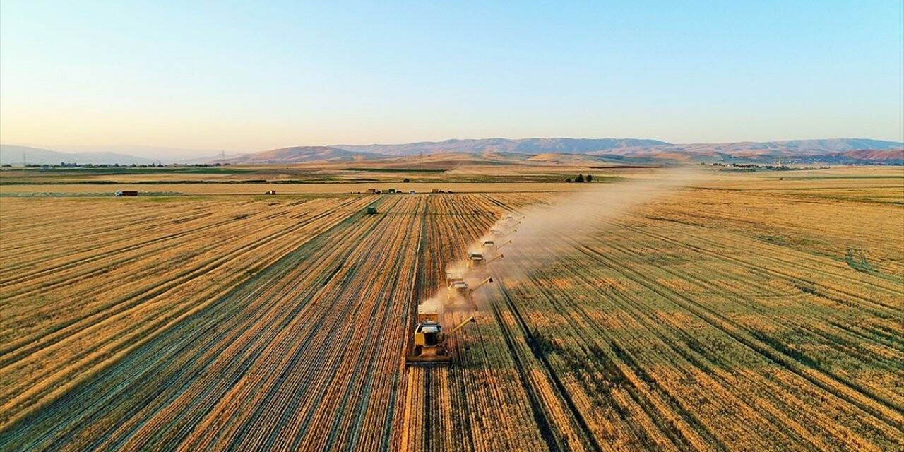 Kovid-19 tarımın önemini ortaya koydu