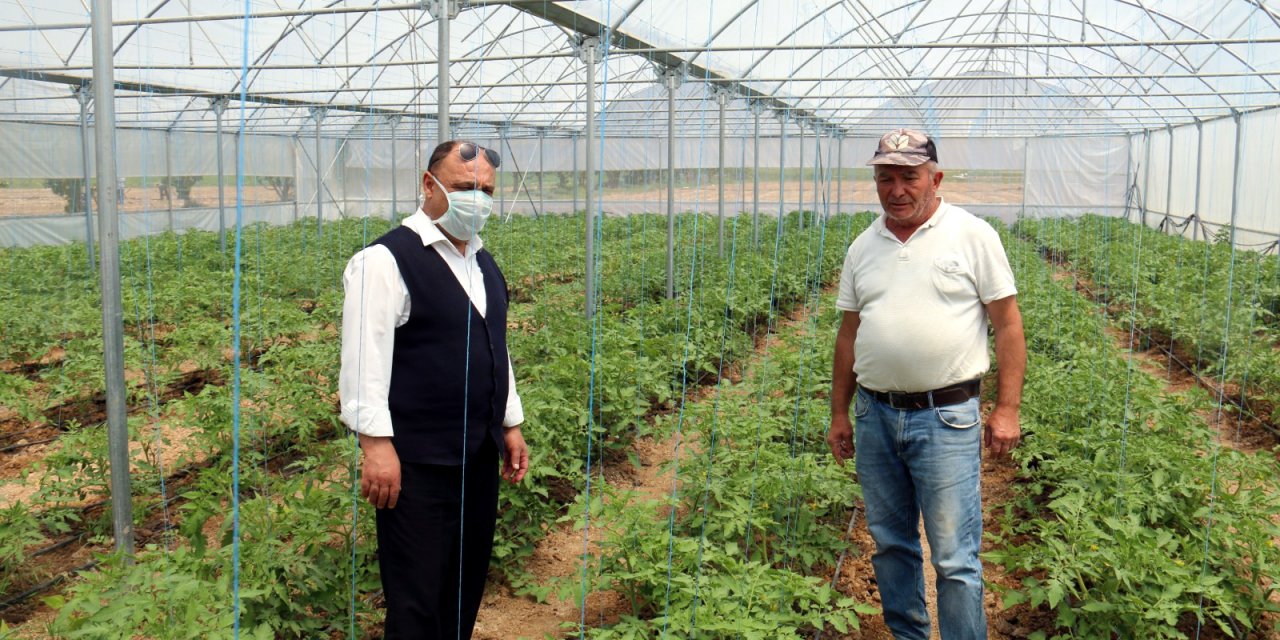 Kırşehir'de alternatif tarım ürünleri için 150 çiftçiye 3 milyon liralık destek