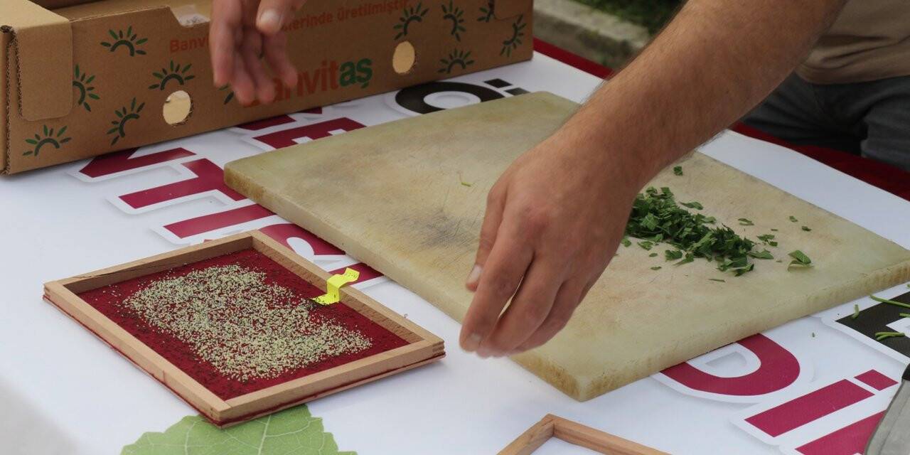 Elazığ'da 5 yılda 18 bin kilogram koza üretimi hedefleniyor