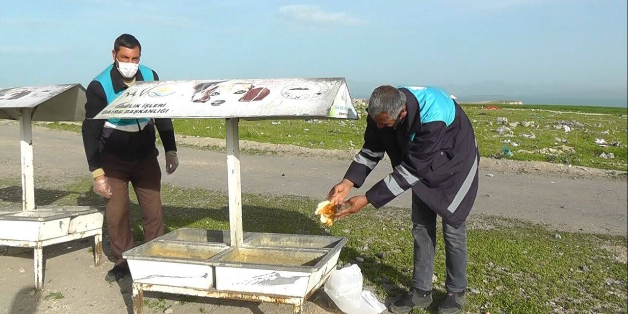 Sokağa çıkma kısıtlaması uygulanan Van'da sokak hayvanları unutulmadı