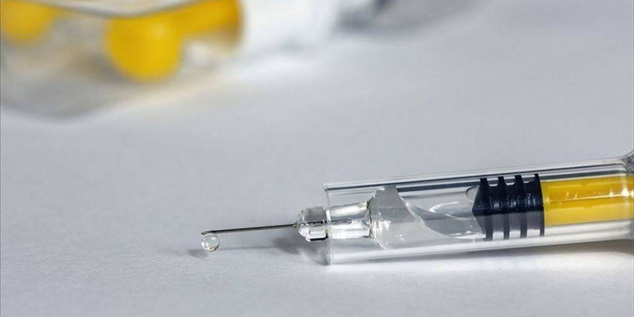ABD'deki Kovid-19 aşı çalışmasının ilk etabından 'olumlu sonuç' alındı