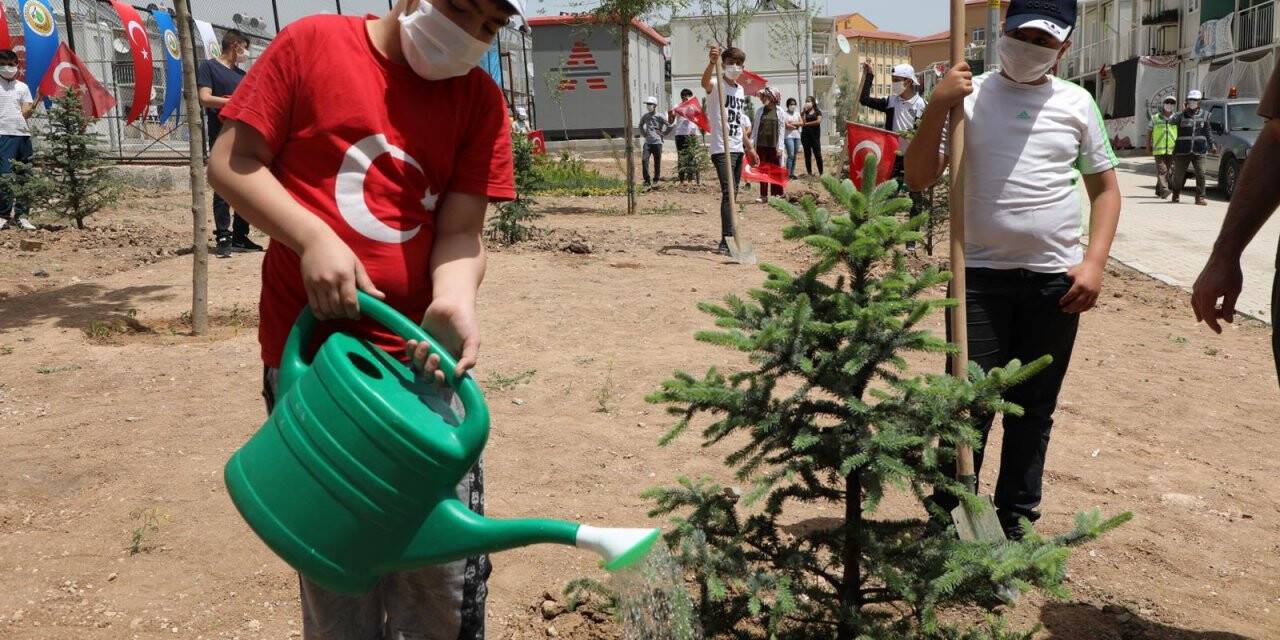 Elazığ'da konteyner kentlerde 1919 fidan toprakla buluşturuldu