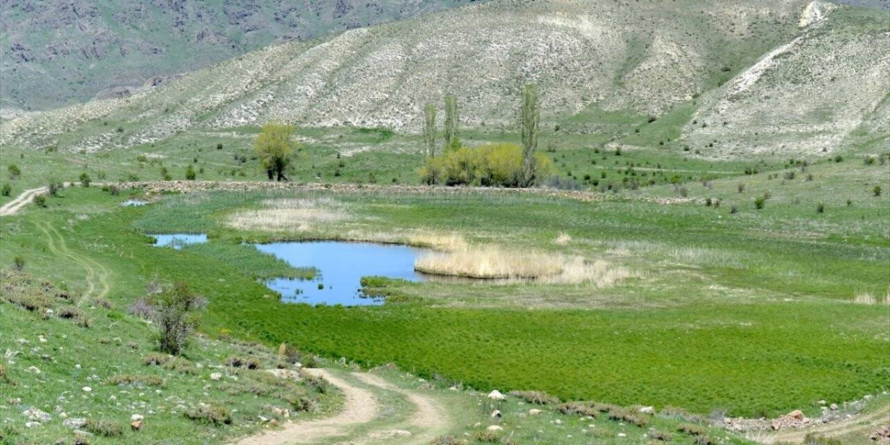 Erzurum'un 'yüzen adaları'na turizm yatırımı