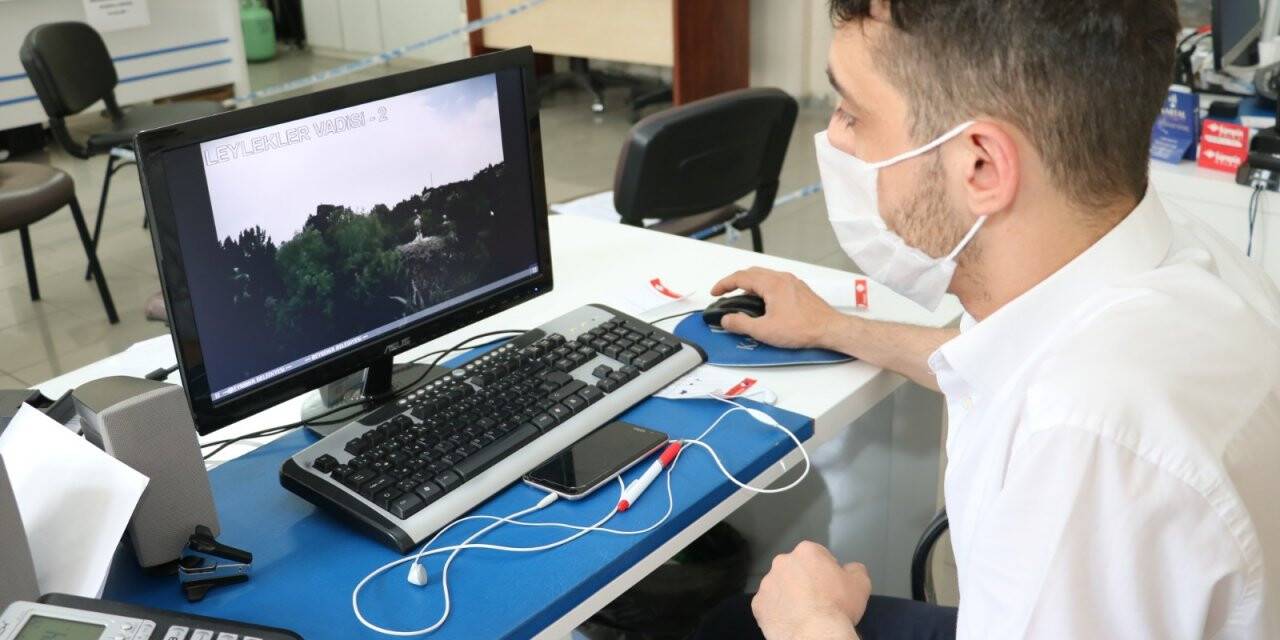 Beyşehir'deki leyleklere kameralı takip