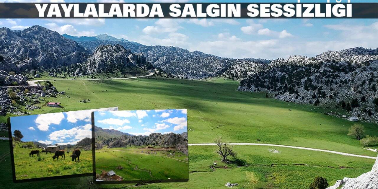 Yaylalarda salgın sessizliği