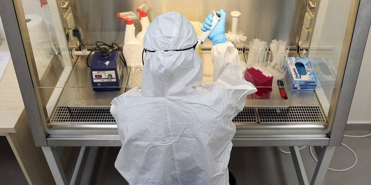 Dokuz Eylül Üniversitesi Kovid-19'un hayvanlar üzerindeki etkisini araştıracak